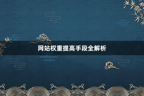 网站权重提高手段全解析