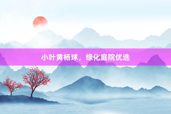 小叶黄杨球，绿化庭院优选