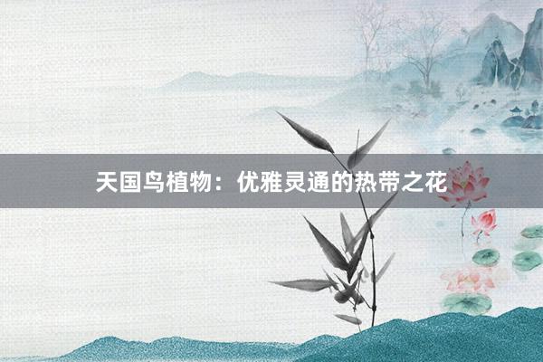 天国鸟植物：优雅灵通的热带之花
